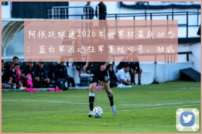 阿根廷球迷2026年世界杯最新动态：蓝白军团远征军集结口号、助威歌曲及现场实况全纪录